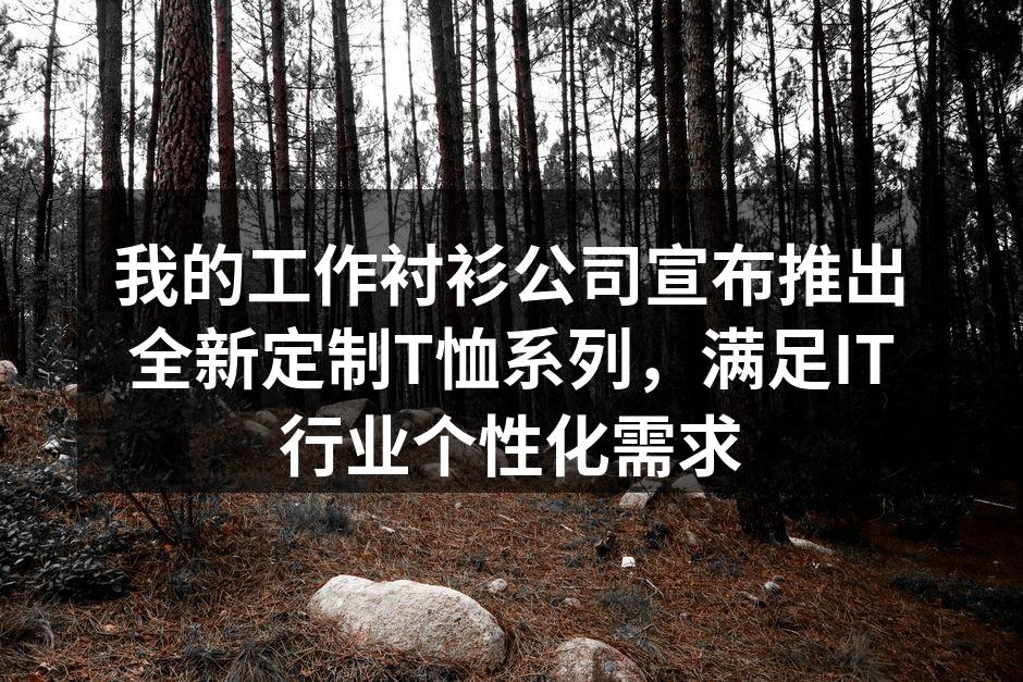 我的工作衬衫公司宣布推出全新定制T恤系列,满足IT行业个性化需求