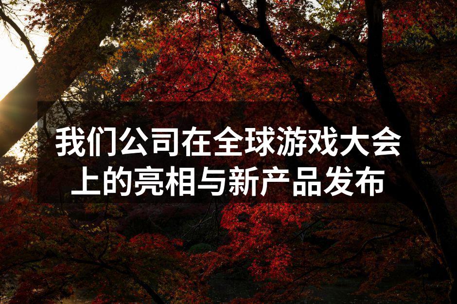 我们公司在全球游戏大会上的亮相与新产品发布