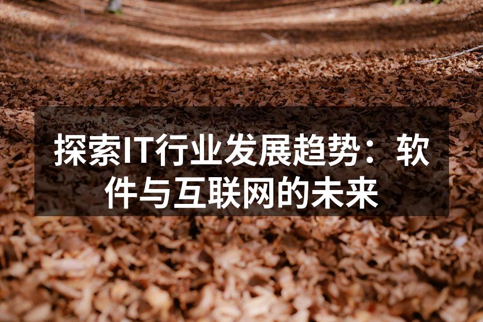 探索IT行业发展趋势：软件与互联网的未来