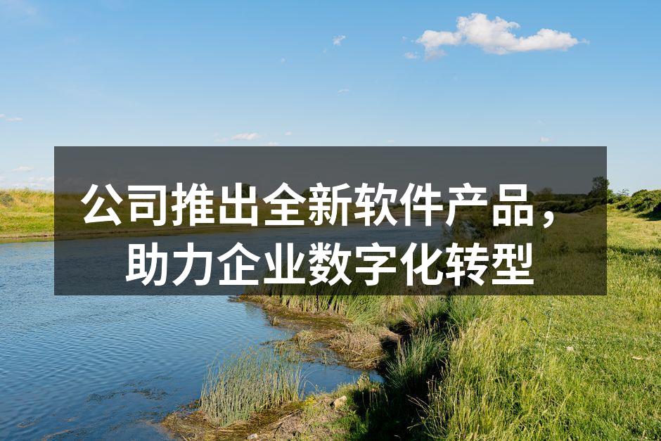 公司推出全新软件产品，助力企业数字化转型